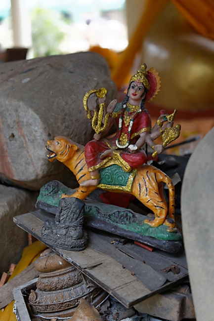 Talin chan-NOV13-125